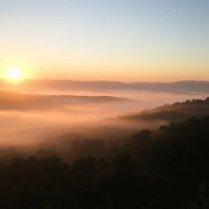 「At Dawn」をマスター：英語学習者のための文法ガイド
