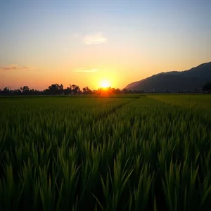 Làm Chủ At Dawn: Hướng Dẫn Ngữ Pháp Tiếng Anh Đơn Giản