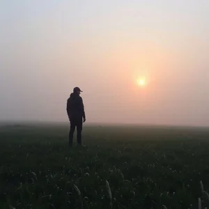 掌握At Dawn：英语学习者简明语法指南