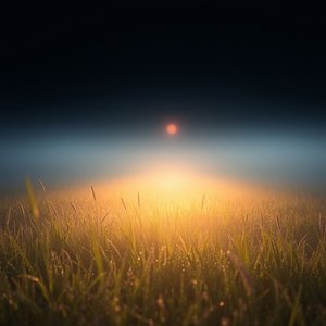 Mastering "At the Crack of Dawn": Usage & Grammar Guide