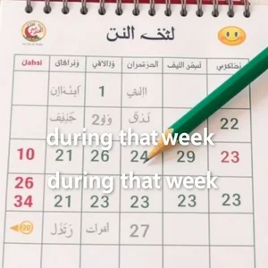 إتقان استخدام during that week بشكل صحيح في جملك الإنجليزية