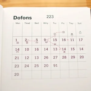 Mastering "in the days that followed": A Grammar Guide