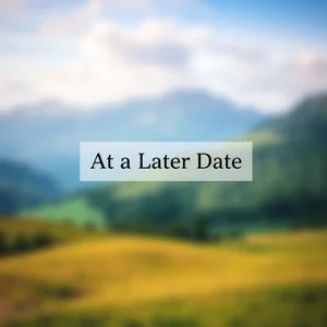 How to Use "At a Later Date" in English: Meaning & Examples