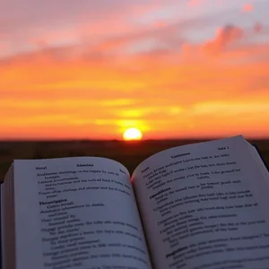 when the sun goes downをマスターするシンプルな文法ガイドで表現力アップ