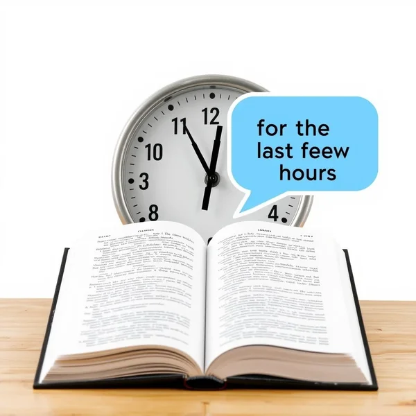 英语语法中 “for the last few hours” 的理解