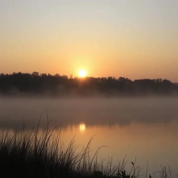 A beautiful sky with the sun rising at dawn