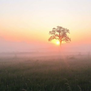 Làm Chủ Cụm Từ “At Dawn” trong Tiếng Anh: Ý Nghĩa và Cách Dùng