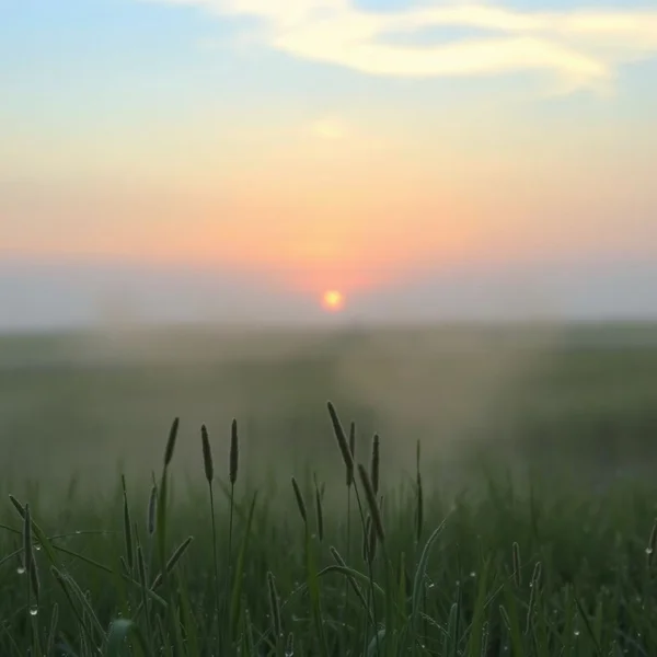 A beautiful sky with the sun rising at dawn