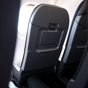 Comprendere e Usare: an aisle seat, la Frase Nominale Essenziale