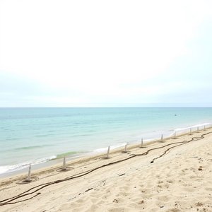 Hiểu và Sử dụng Cụm Danh Từ Off-season: Hướng Dẫn Chi Tiết