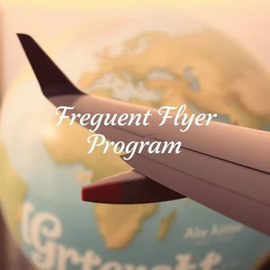 İsim Öbeği: a frequent flyer program Kullanımı, Anlamı ve Örnekler