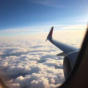 Panduan Frasa 'a direct flight': Arti, Penggunaan, dan Contoh