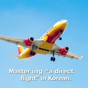 명사구 'a direct flight' 완벽 이해 및 효과적인 활용법 마스터하기