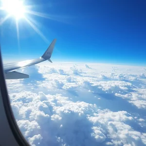 Understanding and Using the Noun Phrase: A Direct Flight