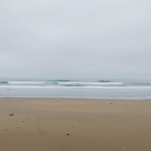 Understanding the Noun Phrase 'Off-Season': Meaning and Usage