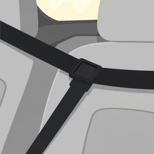 Understanding and Using the Noun Phrase: A Seat Belt