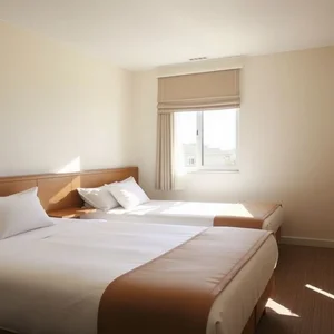 Understanding and Using the Noun Phrase: A Twin Room