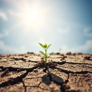 Entendendo Break New Ground Idioma Essencial em Inglês para Inovadores