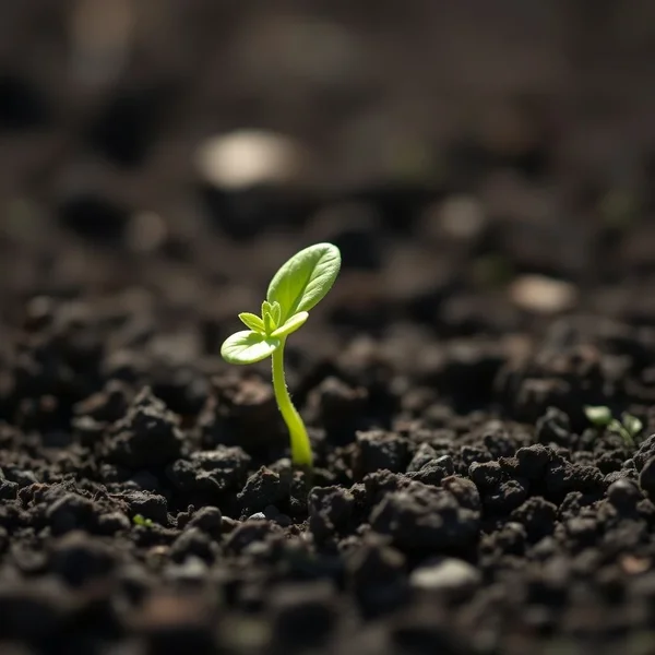 Image of a sprout breaking through soil, symbolizing how to Break New Ground