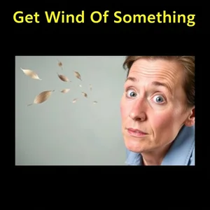 Entendendo 'Get Wind Of Something' Significado e Uso em Inglês