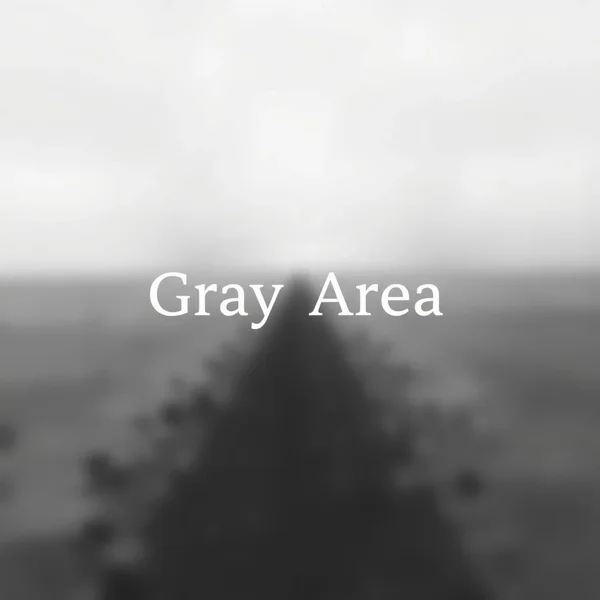 Illustration of a fuzzy, indistinct area symbolizing the meaning of Gray Area