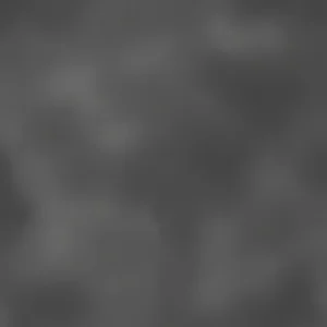 Hiểu về Gray Area Điều hướng sự mơ hồ trong các cách diễn đạt tiếng Anh