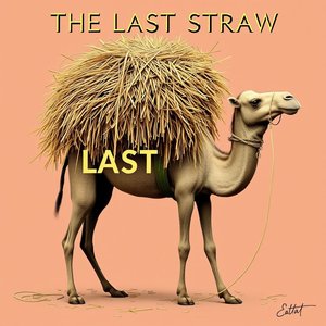 O que significa 'Last Straw' Uso em Expressões em Inglês
