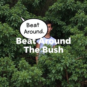 İşin İçine Girmeden Dolanmak: Beat Around The Bush İdiomunu Anlamak