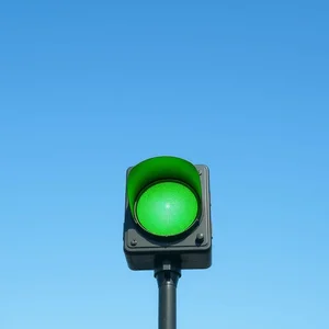 Comprendere l'idioma Green Light e il tuo segnale di approvazione
