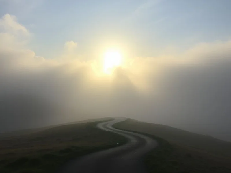 Understanding the phrasal verb allow for