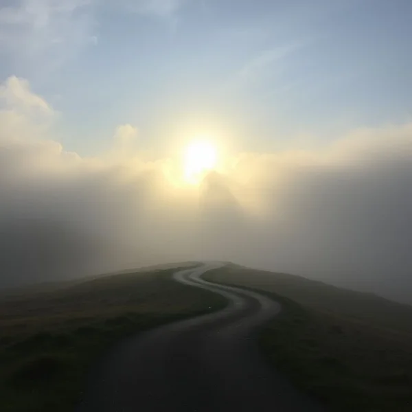 Understanding the phrasal verb allow for