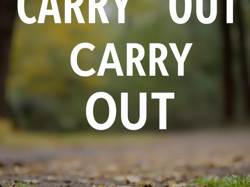 Image explaining the phrasal verb Carry out