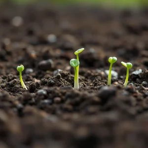 Crop Up: Understanding Meaning and Usage in English