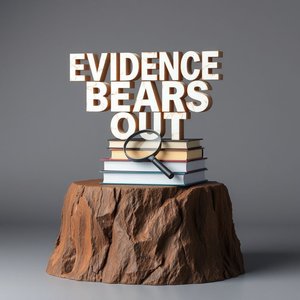 掌握英语短语动词 Bear out：含义、语法、语境与练习