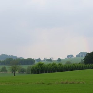 Ease off: Verständnis und Anwendung im Englischen verbessern